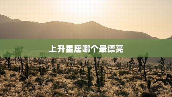 上升星座哪个最漂亮