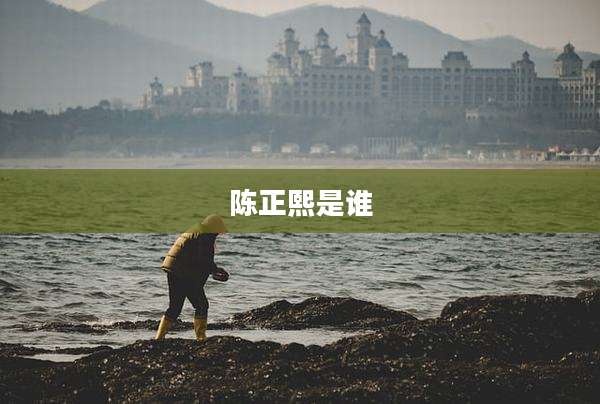 陈正熙是谁
