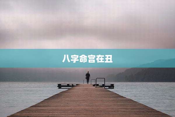 八字命宫在丑