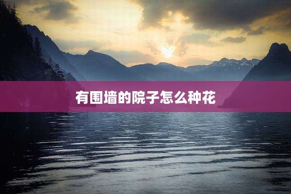 有围墙的院子怎么种花