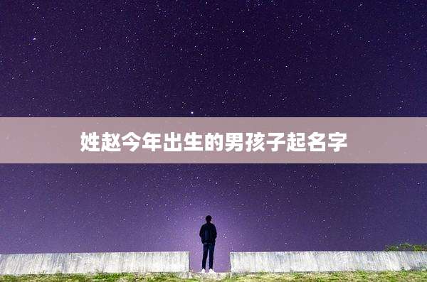 姓赵今年出生的男孩子起名字