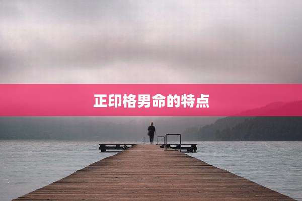 正印格男命的特点