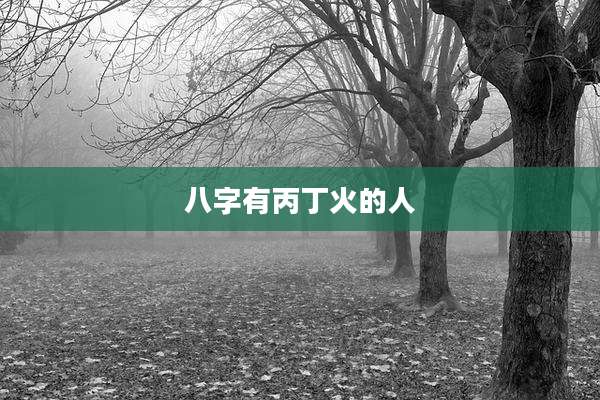 八字有丙丁火的人