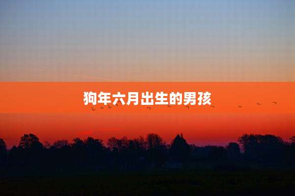 狗年六月出生的男孩