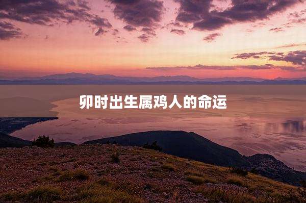 卯时出生属鸡人的命运