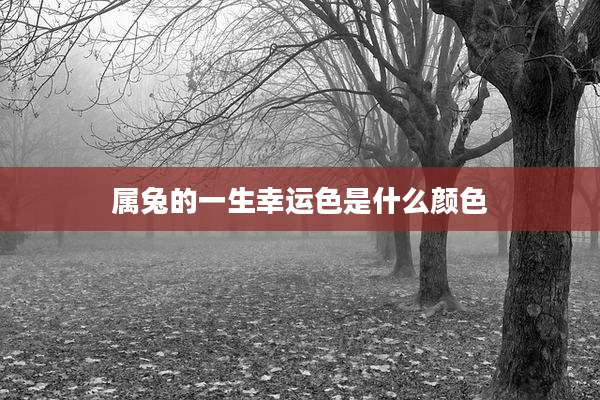 属兔的一生幸运色是什么颜色
