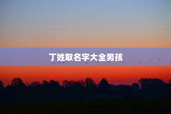 丁姓取名字大全男孩