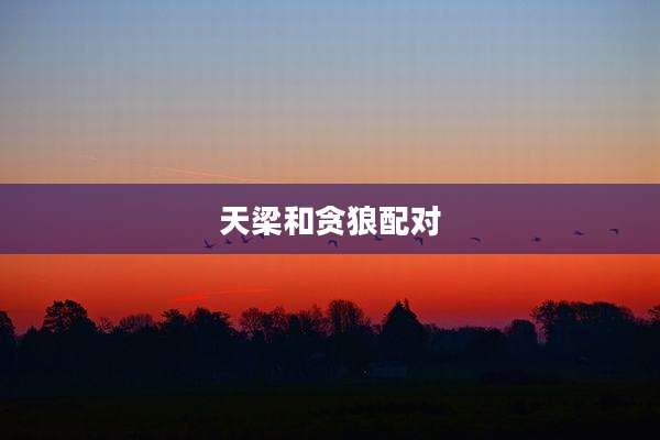 天梁和贪狼配对