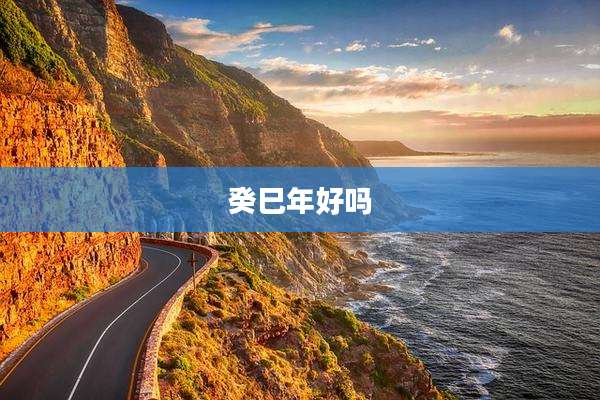 癸巳年好吗