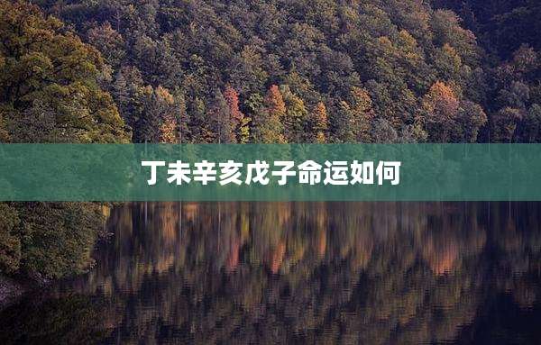 丁未辛亥戊子命运如何