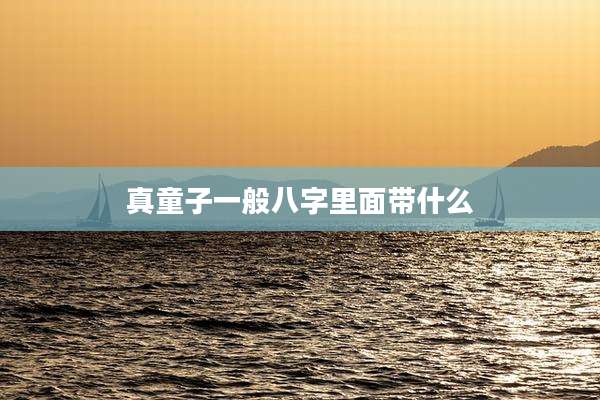 真童子一般八字里面带什么