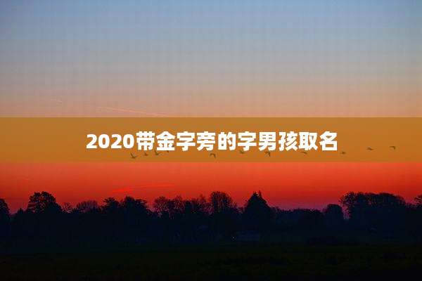 2020带金字旁的字男孩取名