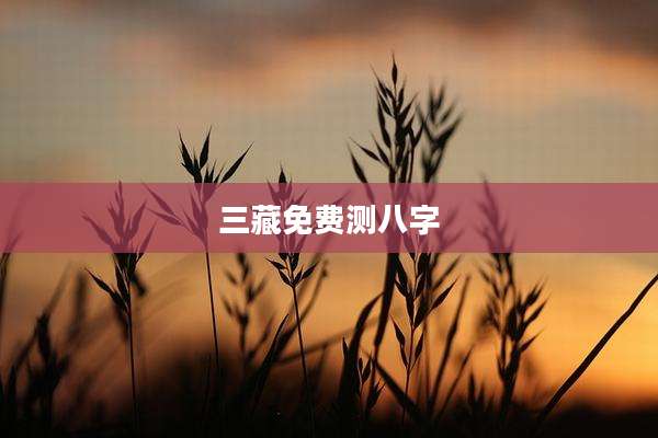 三藏免费测八字