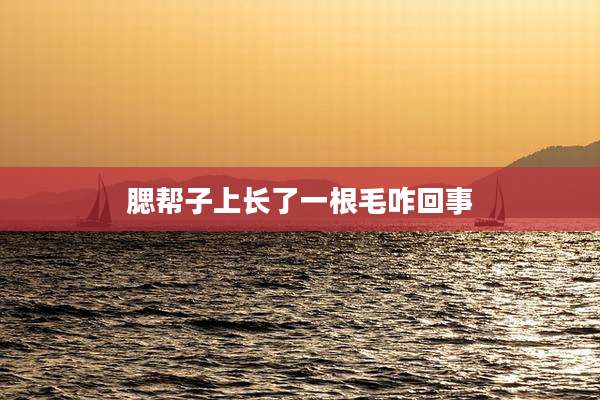腮帮子上长了一根毛咋回事