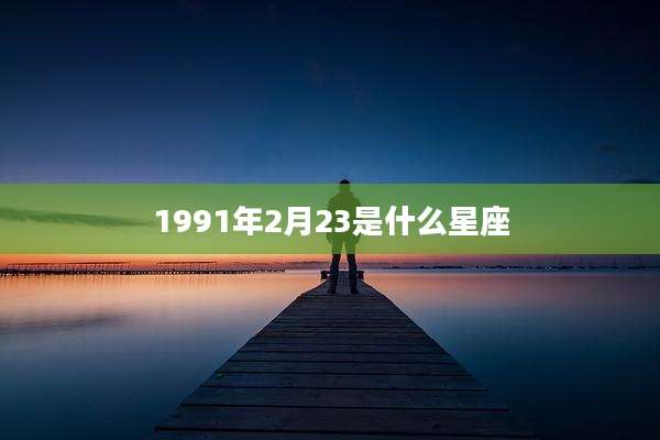 1991年2月23是什么星座