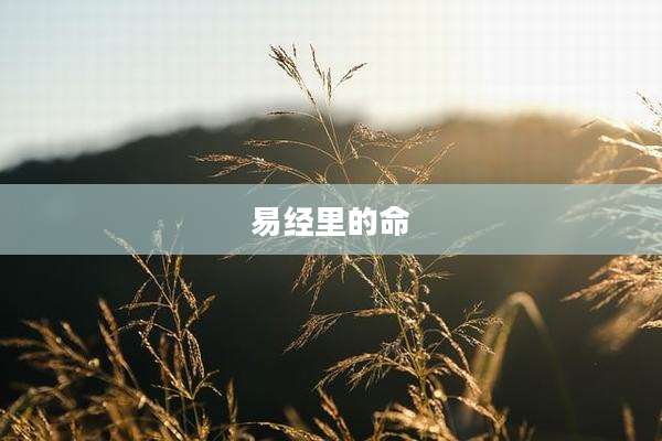 易经里的命