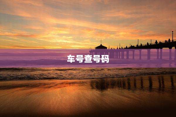 车号查号码