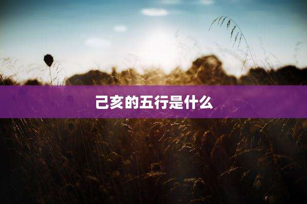 己亥的五行是什么