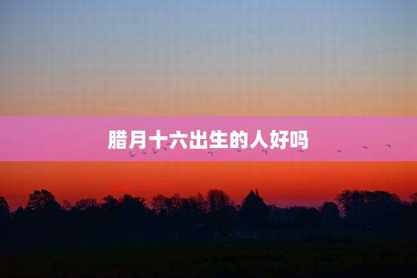 腊月十六出生的人好吗