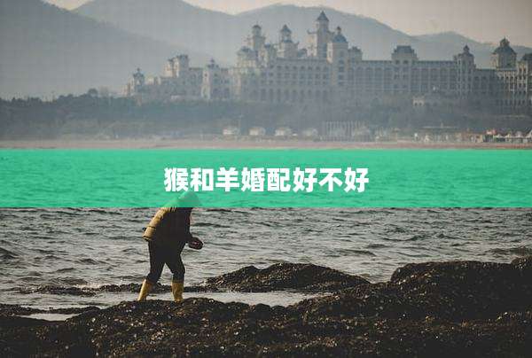 猴和羊婚配好不好