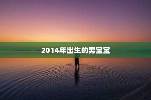 2014年出生的男宝宝