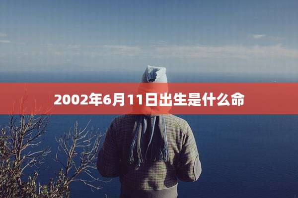 2002年6月11日出生是什么命