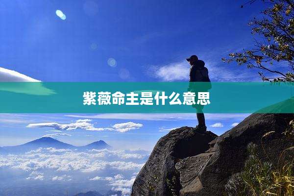 紫薇命主是什么意思