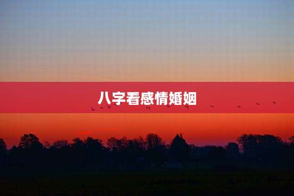 八字看感情婚姻