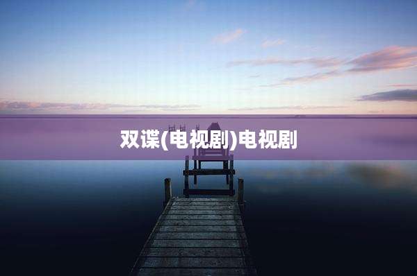双谍(电视剧)电视剧