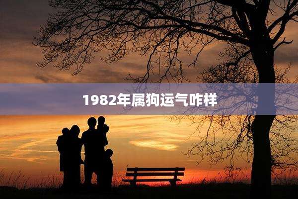 1982年属狗运气咋样