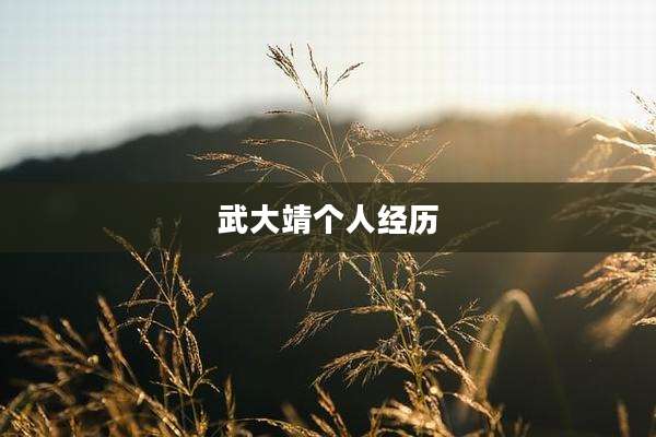 武大靖个人经历
