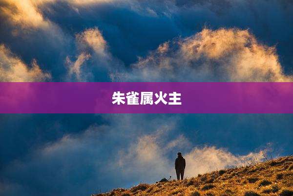 朱雀属火主