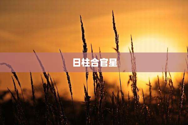 日柱合官星