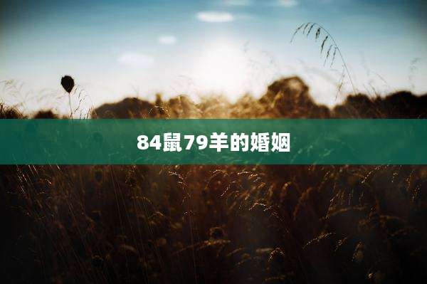 84鼠79羊的婚姻