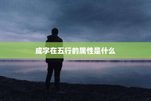 成字在五行的属性是什么
