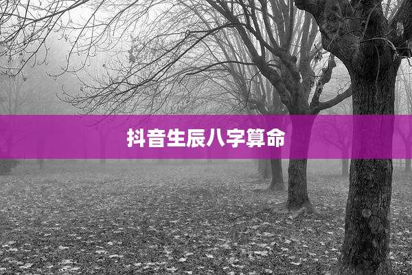 抖音生辰八字算命