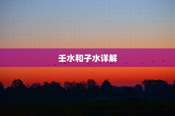 壬水和子水详解