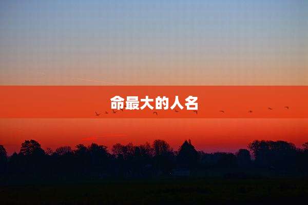 命最大的人名