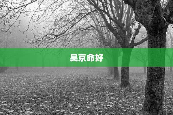 吴京命好