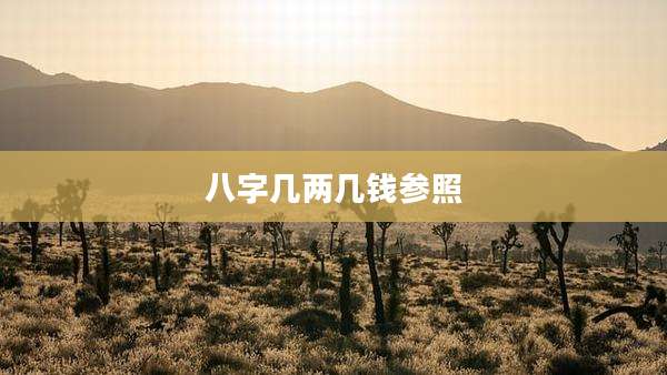 八字几两几钱参照