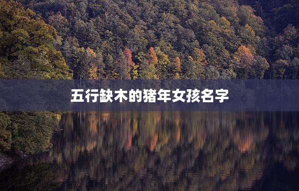 五行缺木的猪年女孩名字