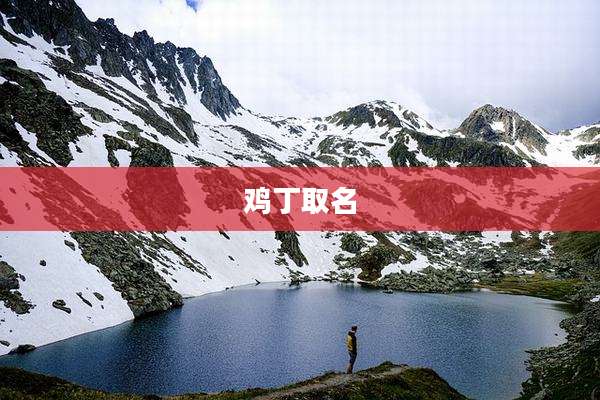 鸡丁取名