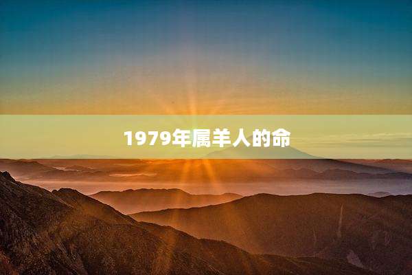 1979年属羊人的命