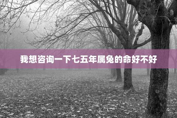 我想咨询一下七五年属兔的命好不好