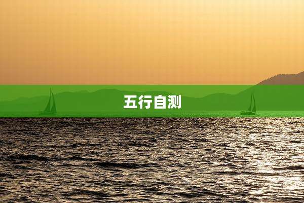 五行自测