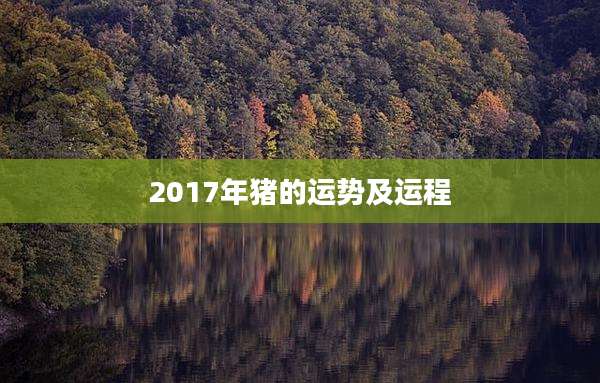 2017年猪的运势及运程