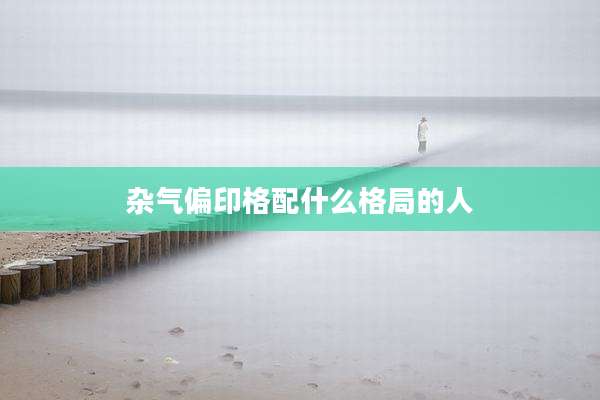 杂气偏印格配什么格局的人
