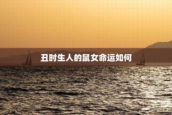 丑时生人的鼠女命运如何