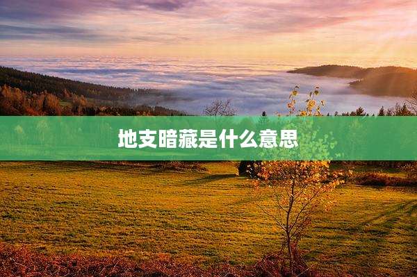 地支暗藏是什么意思