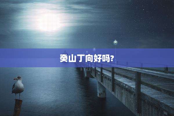 癸山丁向好吗?
